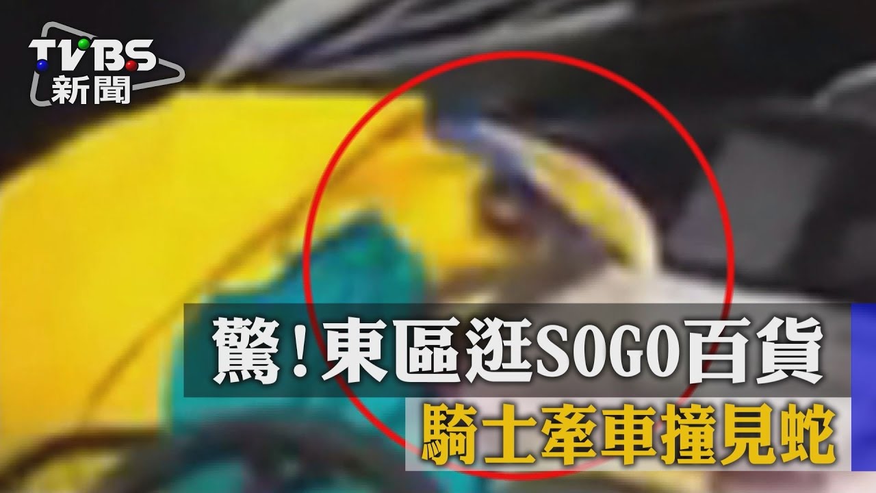 驚!東區逛SOGO百貨 騎士牽車撞見蛇