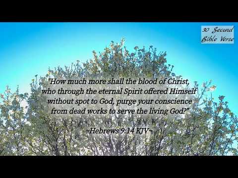 Hebrews 9:14 kjv