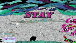 Stay Music Video
