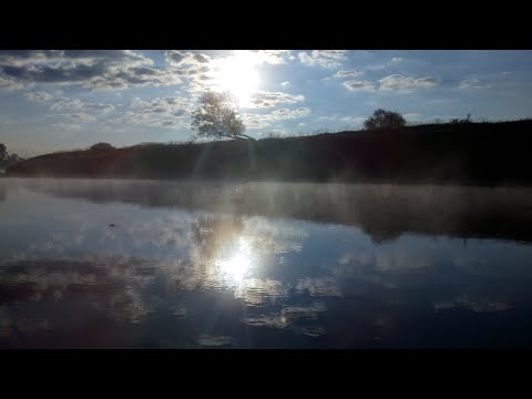 Spływ Odrą, Uraz-Lubiąż 2022