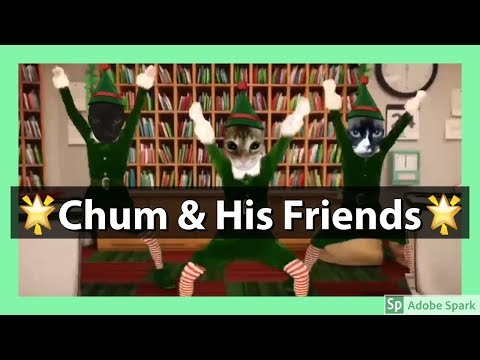 Elf Yourself Secret Santa 🎅🏻 + Bonus Video