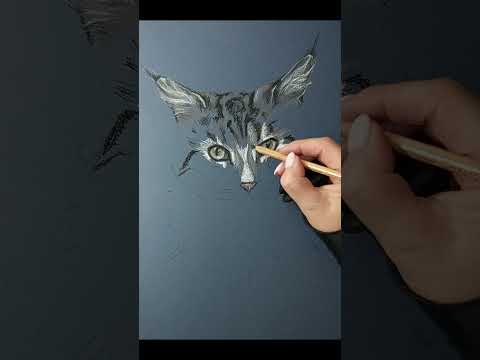 Proces   my pastels 