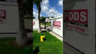 Mango Moving Labor of Tampa, Fl, Get the best of the bay in Tampa Bay, MML3 easy steps