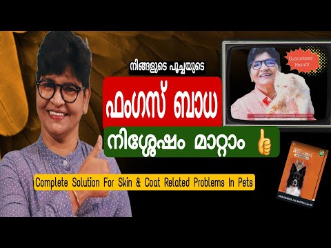 Cats ൻ്റെ Fungus നിശ്ശേഷം മാറ്റാൻ ഇതാ ഒരു Amazing Product @NANDASPets