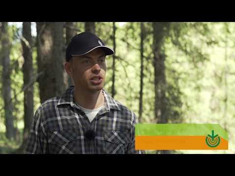 Metsäsuunnitelmaa tekemässä metsässä - Metsänomistajat