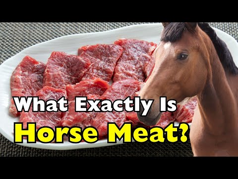 What Is Horse Meat? A Deep Dive into History, Culture, and Nutrition [ID2302]