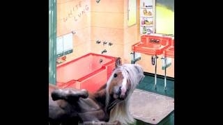 White Lung (2012) - Sorry - Full Album - PUNK 100%