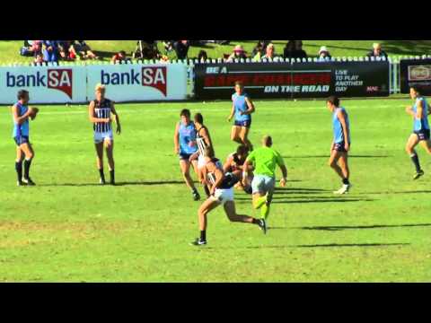 Magpies v Sturt Highlights - Round 6, 2016