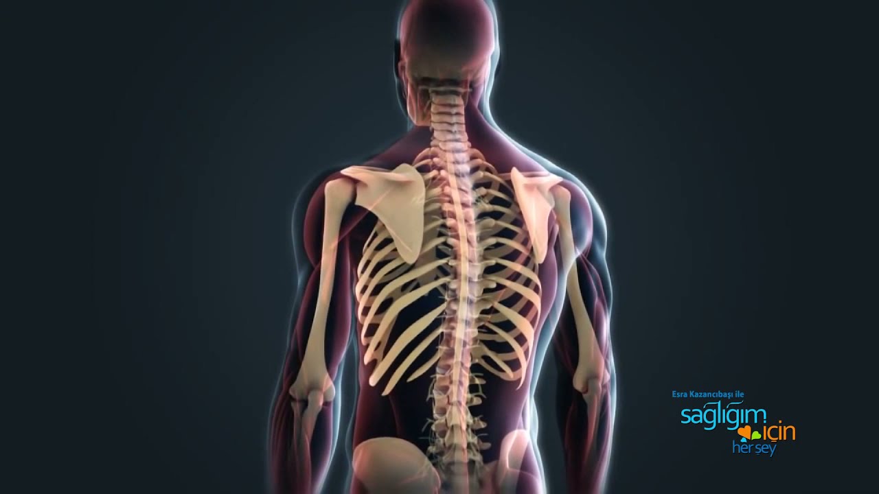 Sağlığım İçin Herşey 27 Mart Cumartesi Programı