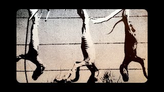 SCROG - ' Learning Compromise ' [7 Inch]
