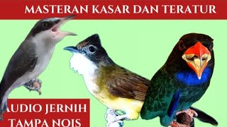 Download lagu masteran kasar dan sadis | jinjing petulak, cucak jenggot & tengkek buto mp3