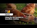 Curso Administração da Pequena Empresa Rural