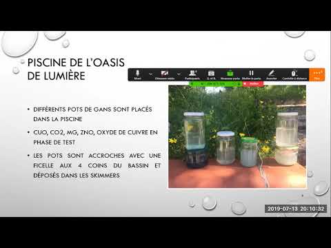 2019 07 13 PM Public Teaching in French - Enseignements publics en français