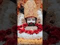 Mere Khatu Wale Shyam Short Khatu Khatushyam Khatushyambhajan Shorts