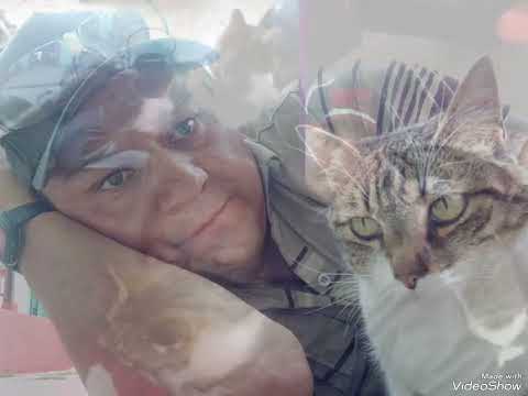 Adiós a mi Gatita MARYPAZ 🐱