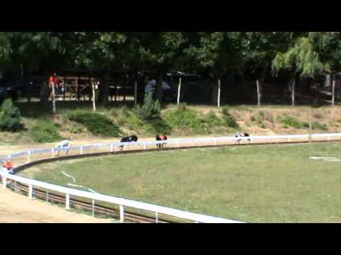 CZECH DERBY 2nd semifinal - KENGYELFUTO JENNIFER