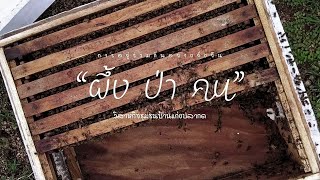 ผึ้ง ป่า คน : การอยู่ร่วมกันอย่างยั่งยืน - วิสาหกิจชุมชนบ้านแก่งปลากด”