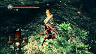 Dark Souls PVP: ROYAL WOOD don`t go in the woods...alone! #2