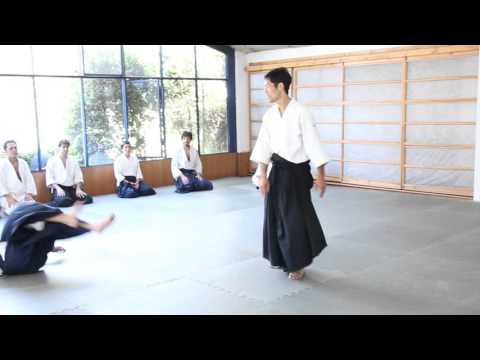 Daiyu Takeda Sensei - Aikido Kenkyukai International
