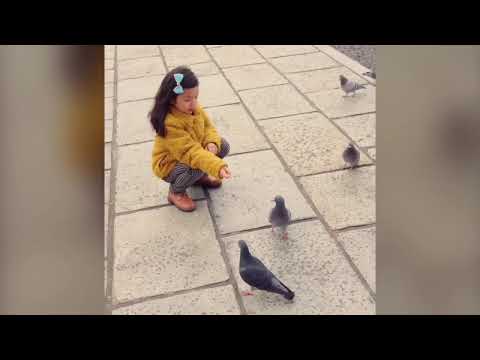 mariely playing with the birds 🐦