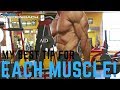 My Best Tip For Each Muscle!