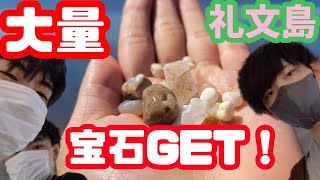 【#礼文島】日本最北の離島で宝石メノウを大量ゲット！【#メノウ浜】