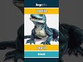 reptile - reptil video thumbnail