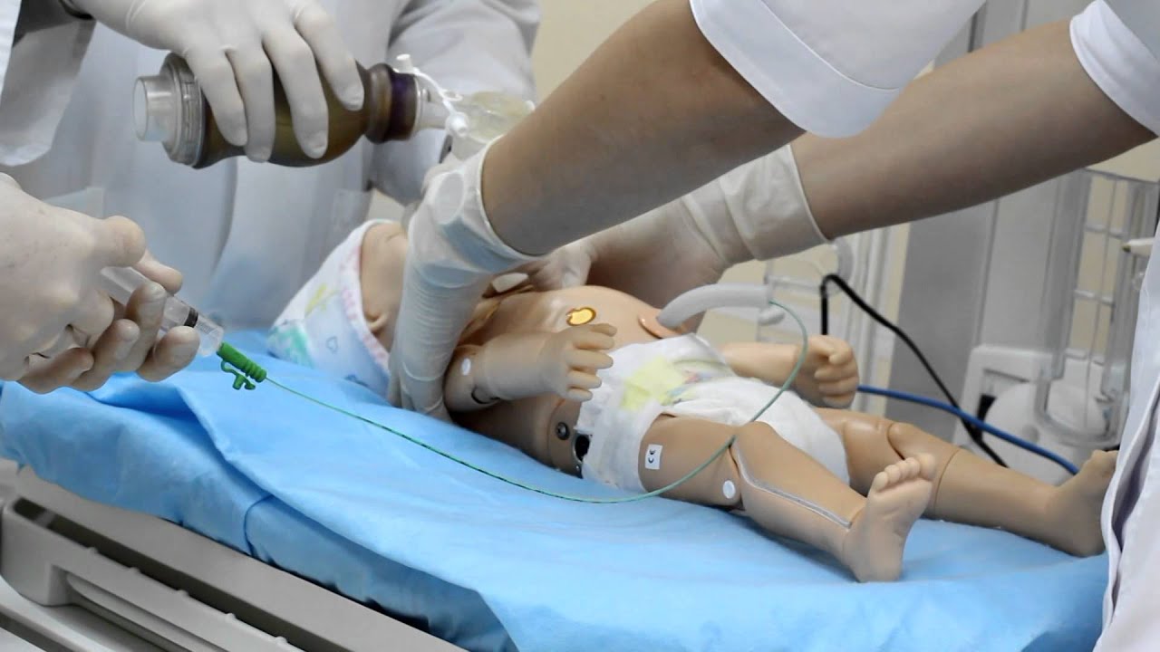 Кубанский государственный медицинский университет