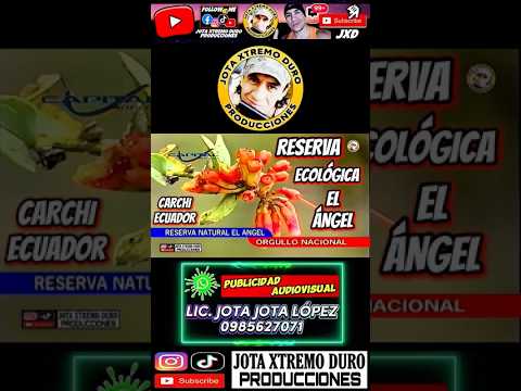 🥾Reserva Ecológica El Ángel 🌄 #carchi #carchiecuador #jotaxtremoduro #turismoecuador  🇪🇨