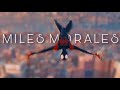 "there's gotta be a black spiderman somewhere." | Miles Morales Edit | Spider-Man : No Way Home