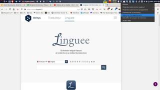 Tutorial: How to use Linguee