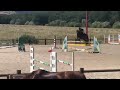 Top cheval amateur