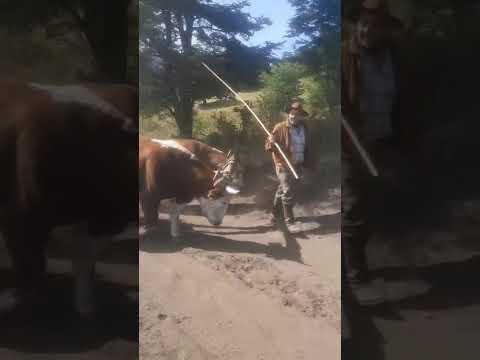 San martin de los Andes.