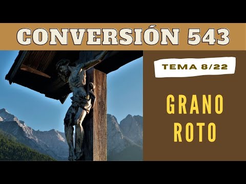 Día 8/22 - Grano roto | CONVERSIÓN 543