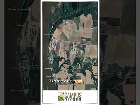🌾 Campo Mixto en Venta – La Juanita, Diamante (Entre Ríos) | 12 ha Productivas.  #camposenventa