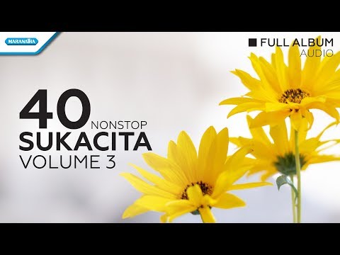 40 Nonstop Sukacita Vol.3 - Maranatha Singer (Audio full album)