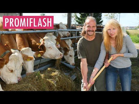 So geht es "Bauer sucht Frau"-Gottfried nach Martinas Tod