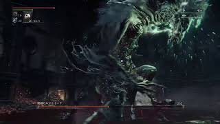 醜い獣ルドウィーク　蹂躙