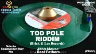 Tod Pole Riddim Mix [October 2011] [Mix November 2011] Brick & Lee Records