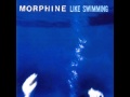 Morphine - Hanging on a Curtain 