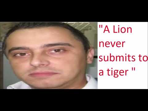 Tiger vs Lion - Lion Fanboys Say the Darndest things Part 4