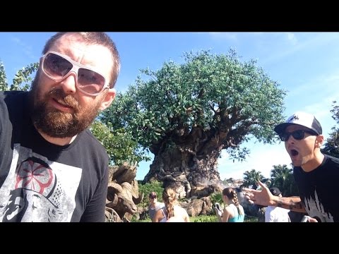 TDW 1153 - Disney's Animal Kingdom !