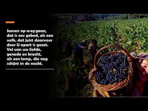 Opwekking met tekst 249 Samen werken (andere achtergrond)