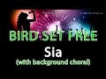 Sia 'Bird Set Free' Instrumental Karaoke Version with background choral and lyrics