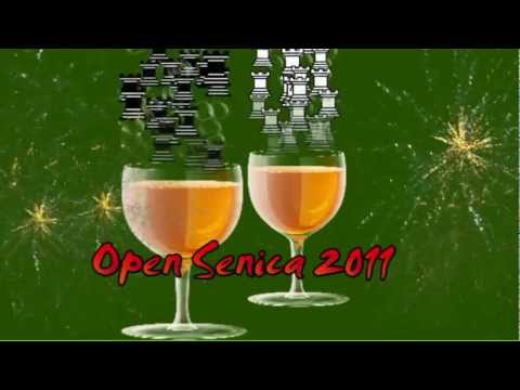 7.1. GM Alexey Kislinsky - FM Jozef Straka 0 - 1