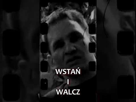 Marek Piotrowski - Wstań i walcz