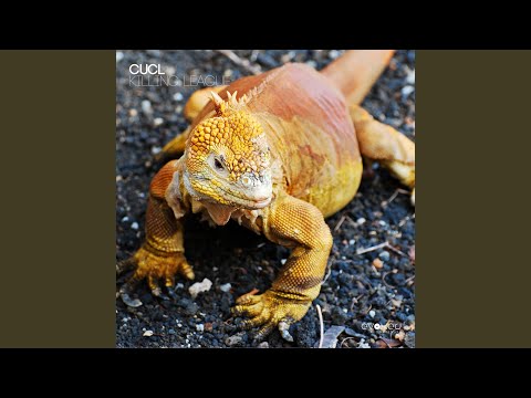 Killing League (Original)