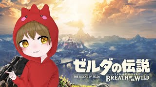 ゼルダの伝説　ブレスオブザワイルド　ガノン討伐の準備