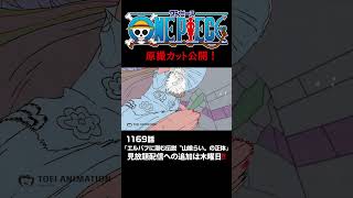 アニメ「#ONEPIECE」見放題配信への追加は木曜日‼️1169話‼️ #onepiece #原撮