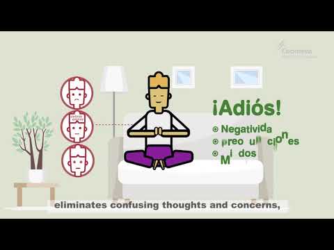 What happens to your body when you meditate?